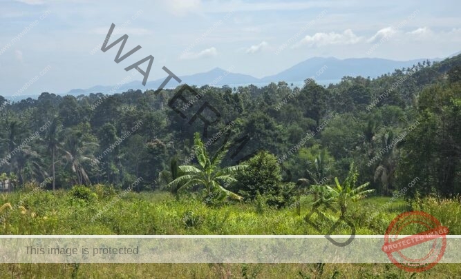 Stunning Sea View Land